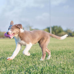 KONG Puppy Teething Stick - Soft Teething & Teeth Cleaning Stick - Natural Rubber Dog Chew Toy with Ridges - Perfect for Snacks & Treats - for Small Puppies