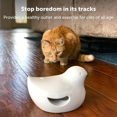 PetSafe Electronic Cat Toys – Automatic Cheese and Peek-A-Bird – Hide and Seek Teaser Toy – Interactive Bird and Mouse Hunt – Play While You are Away