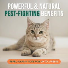 TropiClean Flea and Tick Treatment Spray for Cats & Home, Safely Treat, Prevent & Control by Contact, Powerful & Natural Defense 32 oz