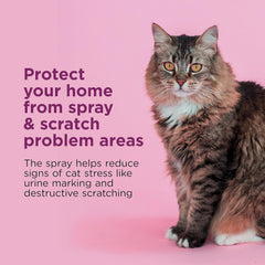 Comfort Zone Cat Calming Pheromone Spray: Travel Size (2 oz); Proven to Reduce Destructive Scratching, Urine Marking, and Stress