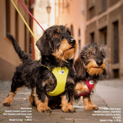curli Vest Harness curli Clasp Air-Mesh Brown