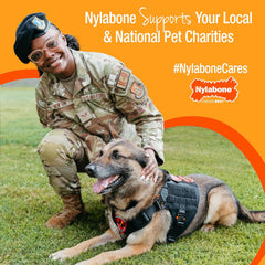 Nylabone Power Chew Classic Bone Chew Toy for Dogs, Durable Dog Toys for Aggressive Chewers, Chicken Flavor