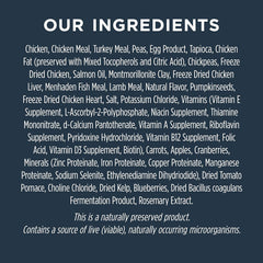 Instinct Raw Boost Puppy, Natural Dry Dog Food with Freeze Dried Pieces, Grain Free Recipe - Real Chicken