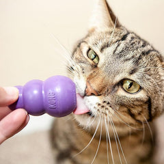 Kong - Kitty Kong - Toy and Treat Dispenser, Lightweight Durable Rubber Cat Toy