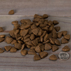 Nulo Grain Free Dog Food: All Natural Adult Dry Pet Food For Large And Small Breed Dogs Salmon