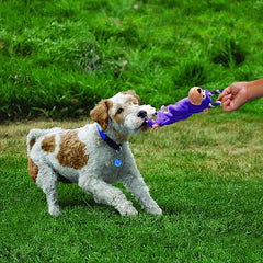 KONG - Tugger Knots Moose - Tug of War Dog Toy, Minimal Stuffing and Looped Ropes for added Strength