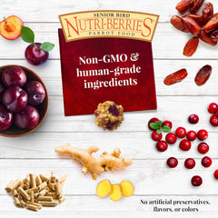 LAFEBER'S Senior Bird Nutri-Berries Pet Bird Food, Made with Non-GMO and Human-Grade Ingredients,  10 oz