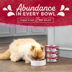 Natural Balance Ultra Premium Wet Cat Food 24 Cans, Protein Options Include Chicken, Salmon or Ocean Fish