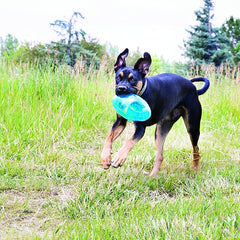 KONG Jumbler Football - Interactive Dog Toy for Dog & Puppy Playtime - Fetch Toy with Tennis Ball - Dog Supplies for Engaging Play