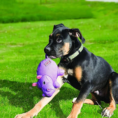 KONG Phatz Pig Dog Toy