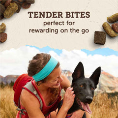 Zukes Adventure Sticks Chicken and Turkey Flavor Natural Treats for Dogs, 16 oz Pouch