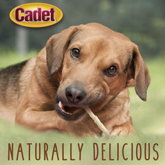 Cadet Premium Grade Beef Hide for Dogs, Long Lasting Rawhide Twist Chew Sticks, Natural Dog Chews, 5 Inch Dog Bones (100 Count)