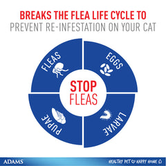 Adams Plus Flea & Tick Spot On for Cats & Kittens 1ea/Over 5 lb