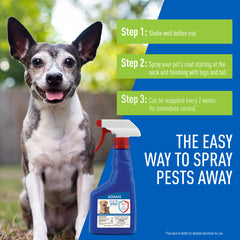 Adams Flea & Tick Spray 1ea/16 oz