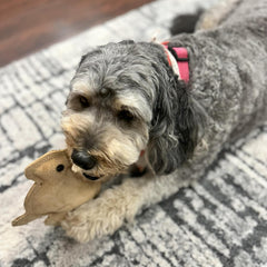 SPOT Dura-Fused Leather - Durable Dog Toy with Squeaker, Real Leather & Jute Fabric, Interactive Toy for Moderate & Aggressive Chewers, Small and Medium Dogs and Puppies