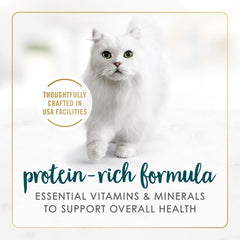 Purina Fancy Feast Salmon and Shrimp Feast Classic Grain Free Wet Cat Food Pate - (Pack of 24) 3 oz. Cans