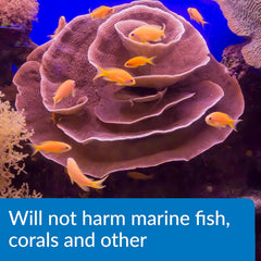 API MARINE ALGAEFIX Algae Control