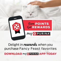 Purina Fancy Feast Medleys White Meat Chicken Primavera With Tomatoes, Carrots and Spinach in a Silky Broth - (Pack of 24) 3 oz. Cans