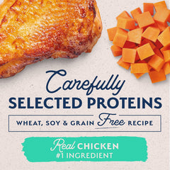Natural Balance Limited Ingredient Diet Chicken & Sweet Potato | Adult Grain-Free Wet Canned Dog Food | 13-oz. Can, (Pack of 12)