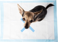 SPOT X Marks The Spot Extra Absorbent Pee Pads | Puppy Pads | Puppy Pads with Adhesive | Training Pads | Dog Pads | Dog Pee Pads | Dog Potty Pads | Adhesive Strips | 22"X22"