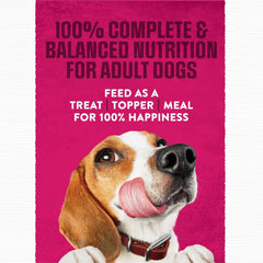 Purina Moist and Meaty Steak Flavor Soft Dog Food Pouches - 72 Ounce