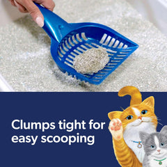 Fresh Step Clean Paws Cat Litter With Febreze Freshness, Multi-Cat Low-Tracking Clumping Litter With Guaranteed Odor Control, 22.5 lb. Box