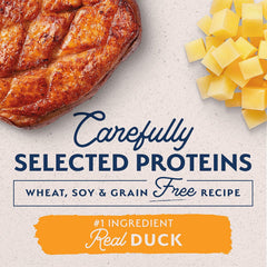 Natural Balance Limited Ingredient Small-Breed Adult Grain-Free Dry Dog Food, Reserve Duck & Potato Recipe