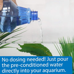 API Betta Water