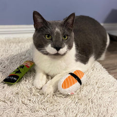 SPOT Sushi Take-out- Cat Plush Toys with Catnip & Silverine Blend, Cute and Funny Toys For Indoor Cats & Kittens, Perfect for Batting and Chasing - 4 inch, Assorted 2-Pack, Styles May Vary
