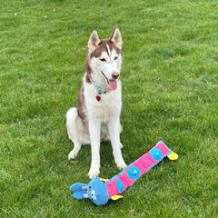 SPOT Snuffle Roll Puzzle Toy - Interactive Feeding Toy for Dogs, Provides Mental Stimulation, Roll-Up Toy, 3 Pockets to Hide Treats, Crinkle and 2 Squeakers - 25Inch Puzzle Toy, Style May Vary