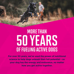 EUKANUBA™ Adult Small Bites Dry Dog Food