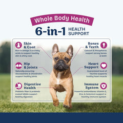 Natural Balance Health Protection Small Breed Dry Dog Food – Whole Body Health, Easy on Digestion Dog Food Made with Chicken, Brown Rice & Pumpkin for Dogs - 4lbs.