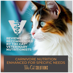 Tiki Cat Solutions Topper Multipack, Skin Coat, Salmon Recipe in Broth