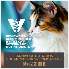 Tiki Cat Solutions Dry Cat Food, Skin & Coat, Salmon & Herring