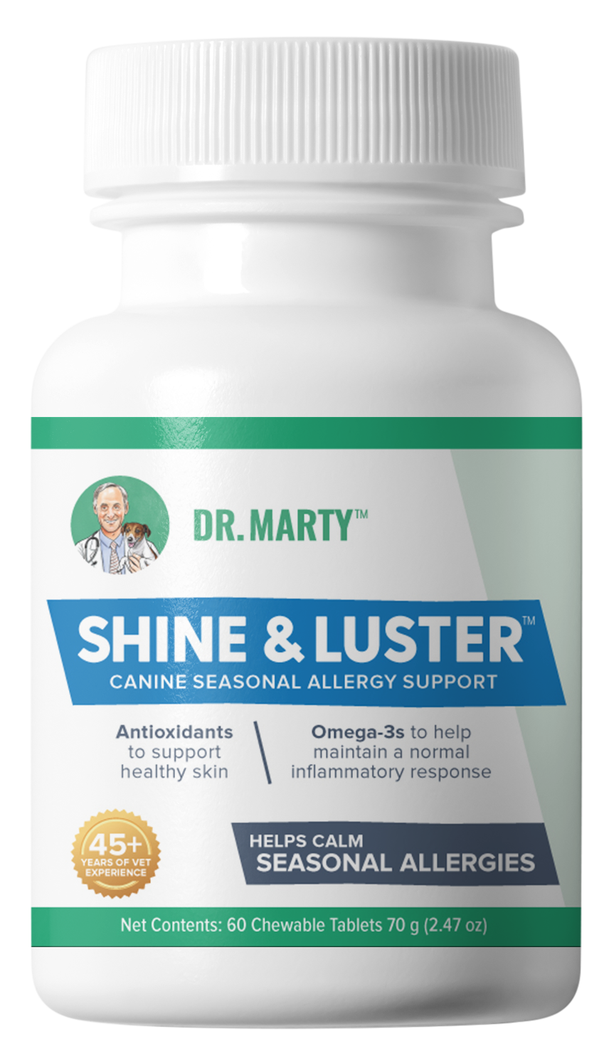 Dr. Marty's Shine & Luster Chewable Dog Supplement 60 ct