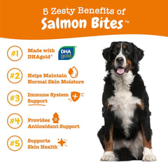 Zesty Paws Salmon Bites for Dogs - Omega 3 Fish Oil for Dogs Chews - Dog Allergy Relief Chews - Fish Oil for Dogs Joints - Itch Relief for Dogs - Dog Supplement for Arthritis - 90ct - Salmon Flavor