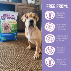 Health Extension Large Bites Chicken & Brown Rice Dry Dog Food (30 lb / 13.61 kg) - Protein-Rich Formula with Probiotics & Essential Nutrients for Larger Breeds