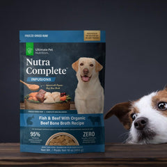 ULTIMATE PET NUTRITION Nutra Complete Bone Broth Infusions, 100% Freeze Dried Veterinarian Formulated Raw Dog Food with Antioxidants Prebiotics and Amino Acids (1 Pound, Bone Broth Fish)