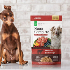 Nutra Complete Premium Beef Recipe Adult Dog Food 5 oz (142g)