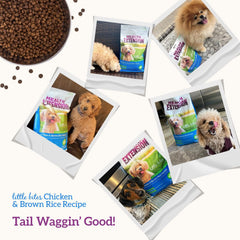 Health Extension Lite Chicken & Brown Rice Dry Dog Food (15 lb / 6.8 kg) - Low-Fat Formula with Glucosamine, Probiotics & Omega 3 for Overweight, Spayed, Neutered, or Senior Dogs