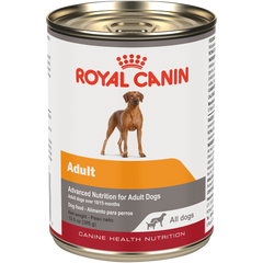 Royal Canin® Canine Health Nutrition™ Adult In Gel Canned Dog Food, 13.5 oz