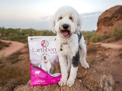 Earthborn Holistic Meadow Feast Lamb Meal & Vegetables Grain-Free Sensitive Skin & Stomach Dry Food for Adult Dogs