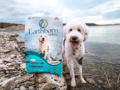 Earthborn Holistic Coastal Catch Herring Meal & Vegetables Grain-Free Sensitive Skin & Stomach Dry Food for Dogs and Puppies