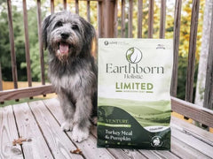 Earthborn Holistic Venture Turkey Meal & Pumpkin Limited Ingredient Diet Grain-Free Dry Food for Adult Dogs