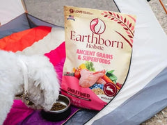 Earthborn Holistic Unrefined Roasted Rabbit with Ancient Grains & Superfoods Dry Food for Dogs & Puppies