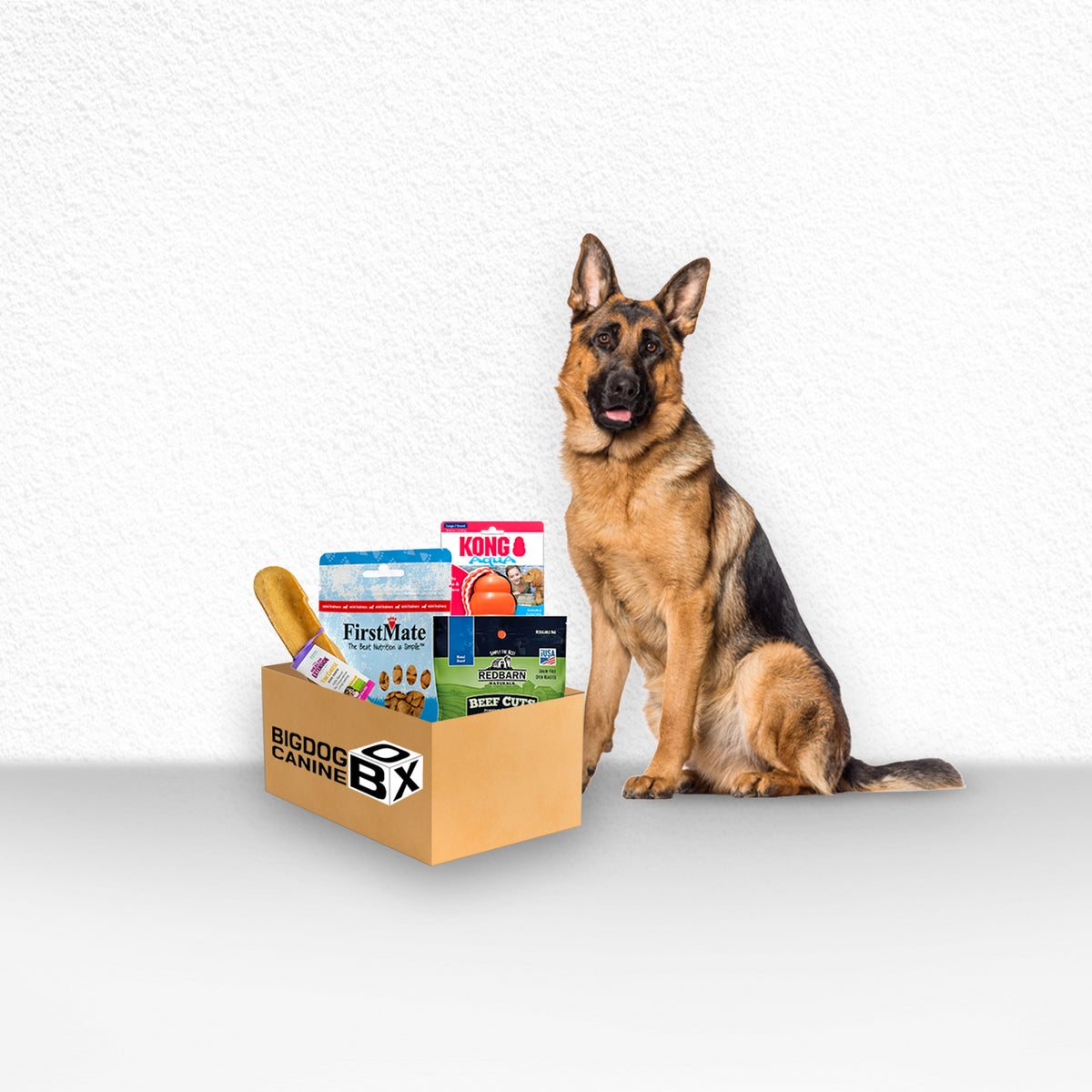 Big Dog Canine Box(large)