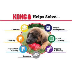 KONGÃ‚Â® Puppy Lg