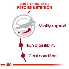 Royal Canin® Size Health Nutrition™ Medium Adult 7+ Dry Dog Food, 30 Lb