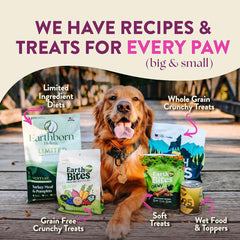 Earthborn Holistic Meadow Feast Lamb Meal & Vegetables Grain-Free Sensitive Skin & Stomach Dry Food for Adult Dogs