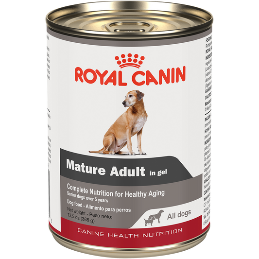 Royal Canin® Canine Health Nutrition™ Mature Adult In Gel Canned Dog Food, 13.5 oz